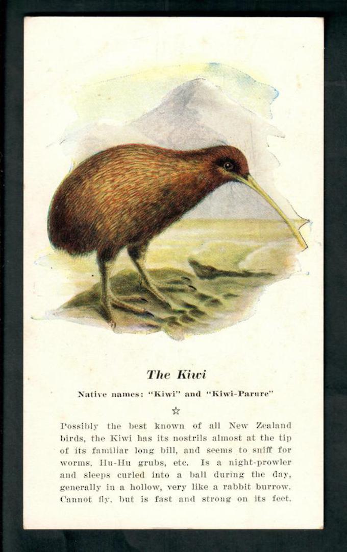 Coloured Postcard of The Kiwi. - 49791 - Postcard image 0