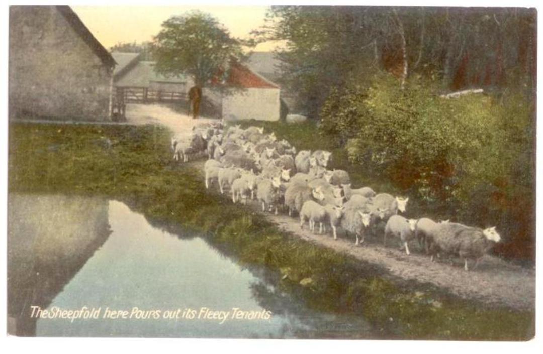 Coloured postcard. Sheep leaving a Sheepfold. - 41756 - Postcard image 0