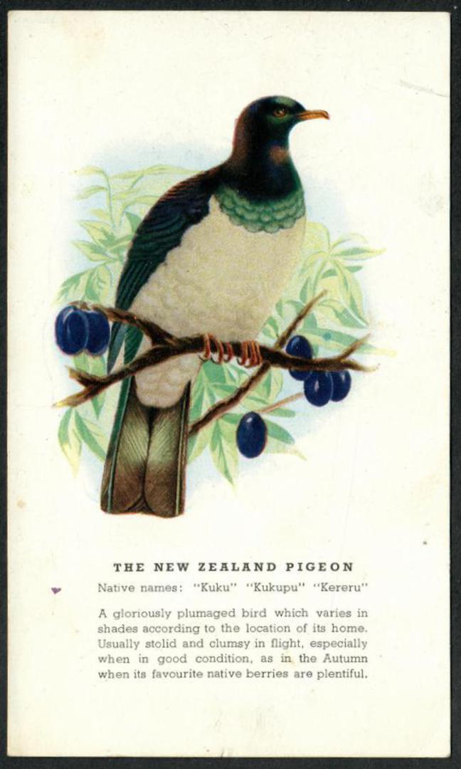 KERERU New Zealand Pigeon. Coloured Postcard. - 43532 - Postcard image 0