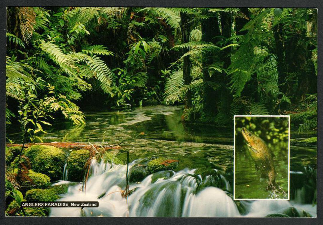 ANGLERS PARADISE New Zealand Modern Coloured Postcard. - 446652 - Postcard image 0