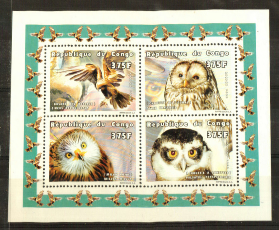 CONGO 1999 Owls miniature sheet. - 21293 - UHM image 0