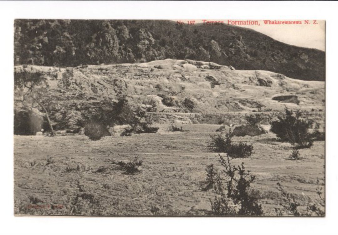 Postcard of Terrace Formation Whakarewarewa. - 46159 - Postcard image 0