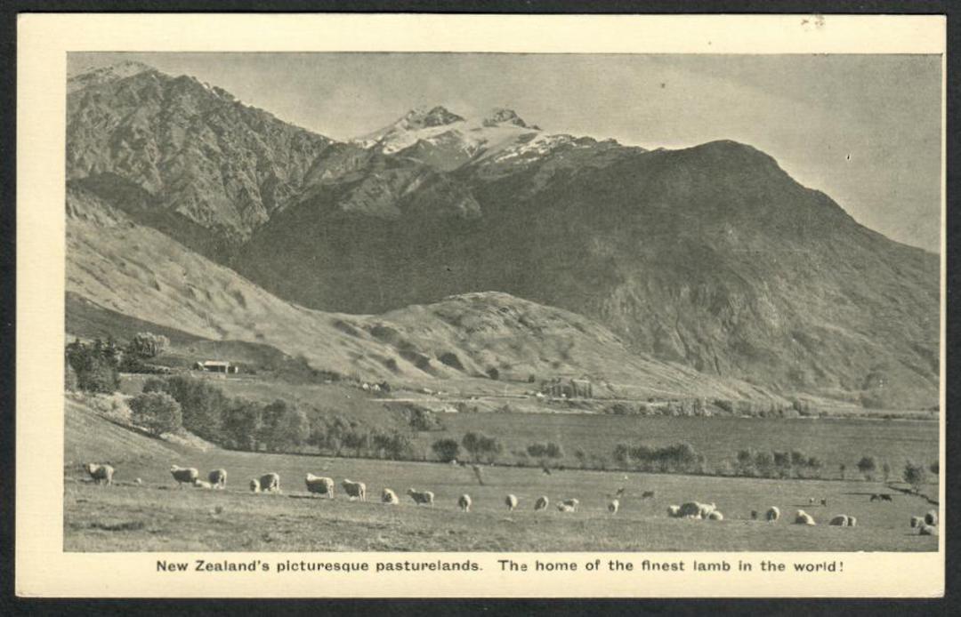 Postcard of New Zealand's Picturesque Pasturelands. The home of the finest lamb in the world. - 41761 - Postcard image 0
