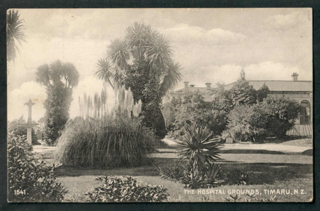 Postcard by Hutton of Hospital Grounds Timaru. - 48560 - Postcard image 0