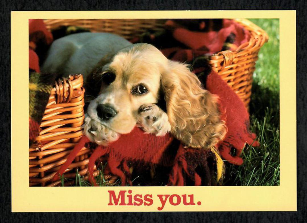 Modern Coloured Postcards of Pets. Four cards Puppies Kittens Ducklings Bunnies. - 444964 - Postcard image 2