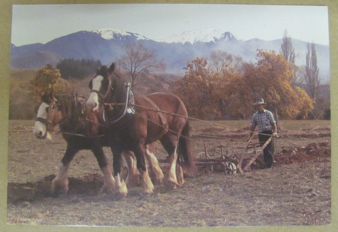 Modern Coloured Postcard by K Salt of Clydesdales ploughing. - 444241 - Postcard image 0