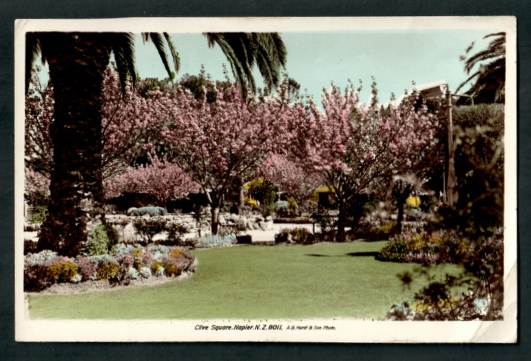 Coloured Real Photograph by Hurst of Clive Square Napier. - 47925 - Postcard image 0
