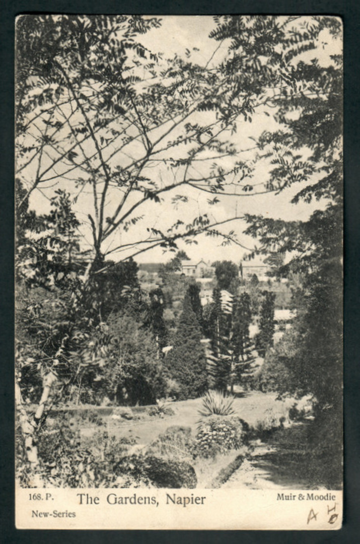 Early Undivided Postcard of The Gardens Napier. - 48083 - Postcard image 0