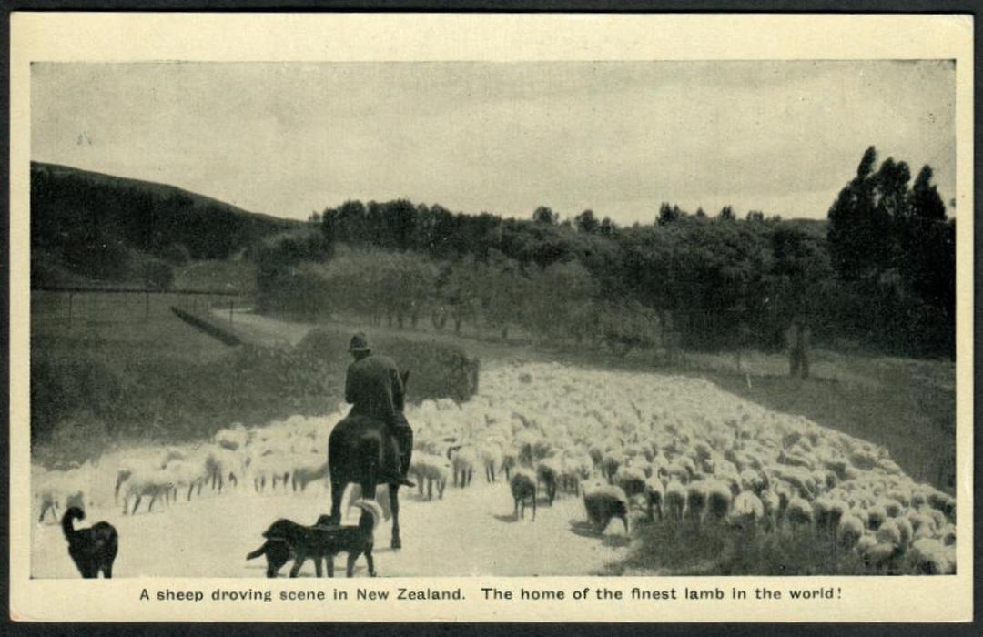 Postcard of a sheep droving scene in New Zealand. The home of the finest lamb in the world. - 41762 - Postcard image 0