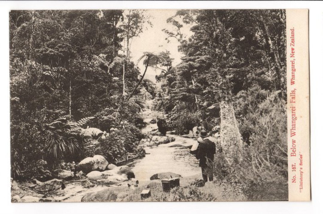 Postcard Below Whangarei Falls. - 44987 - Postcard image 0