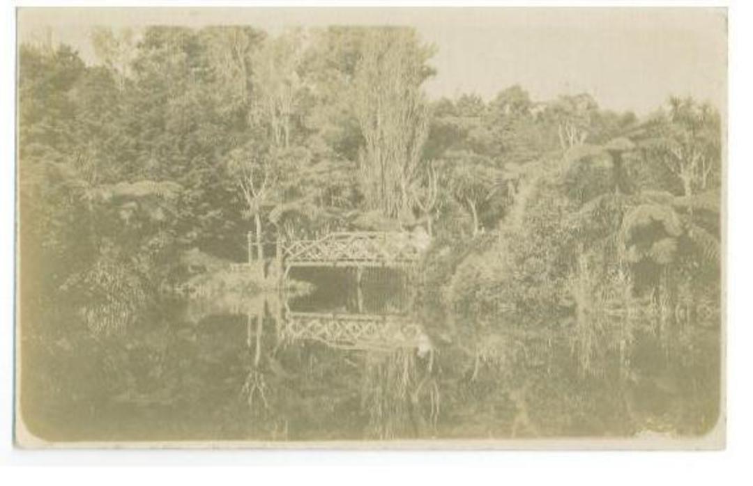 Real Photograph of Park and Bridge. Almost certainly New Plymouth. - 40789 - Postcard image 0
