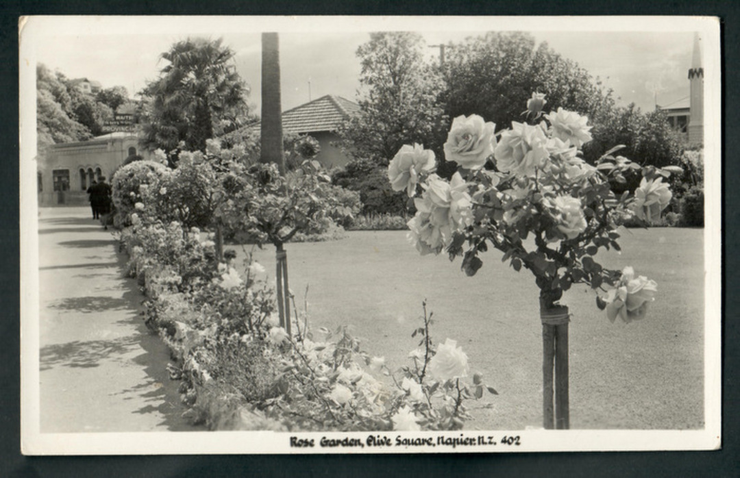 Real Photograph by A B Hurst & Son of Rose Gardens Clive Square Napier. - 48090 - Postcard image 0