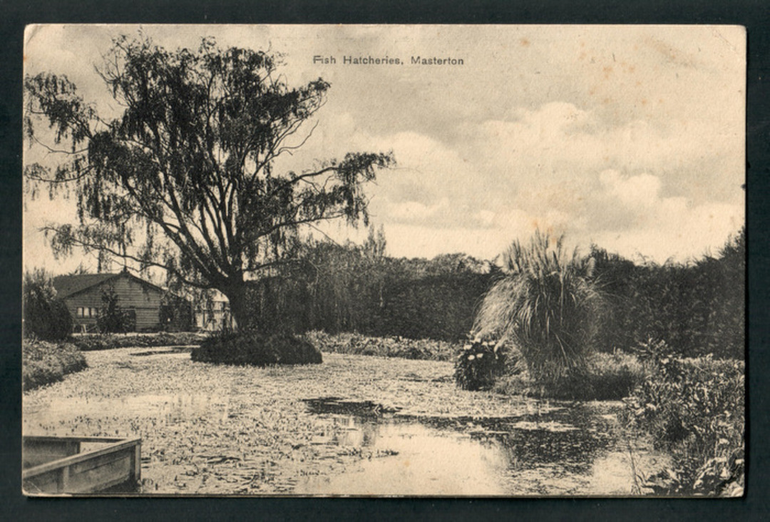 Postcard of Fish Hatcheries Masterton. - 47865 - Postcard image 0