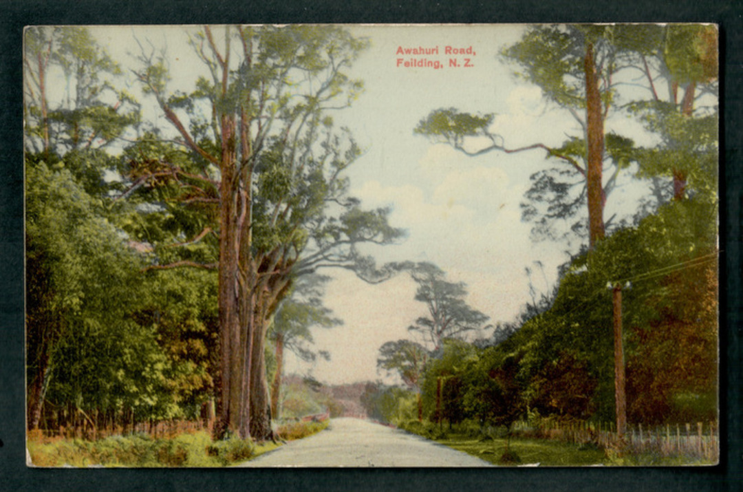 Coloured postcard of Awahuri Road Palmerston North. - 47248 - Postcard image 0