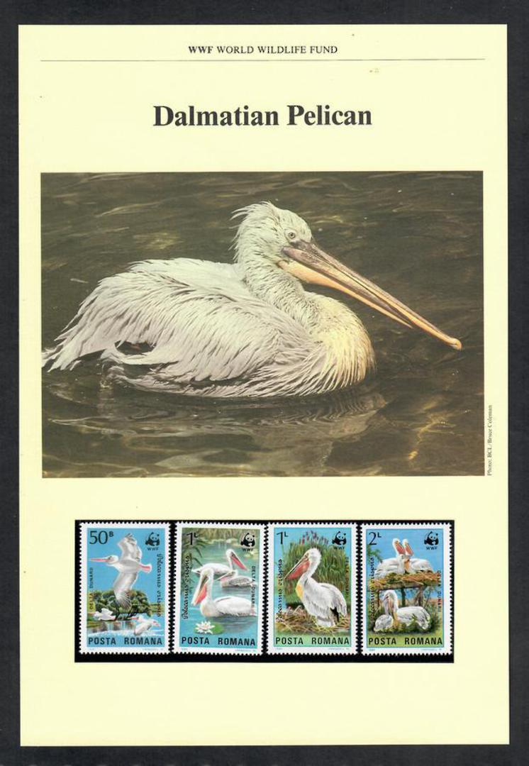 RUMANIA 1984 World Wildfile Fund. Pelican. Set of 4 in mint never hinged and on first day covers with 6 pages of official text. image 0