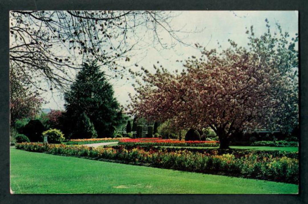 Coloured postcard of Victoria Park Waimate. - 49512 - Postcard image 0