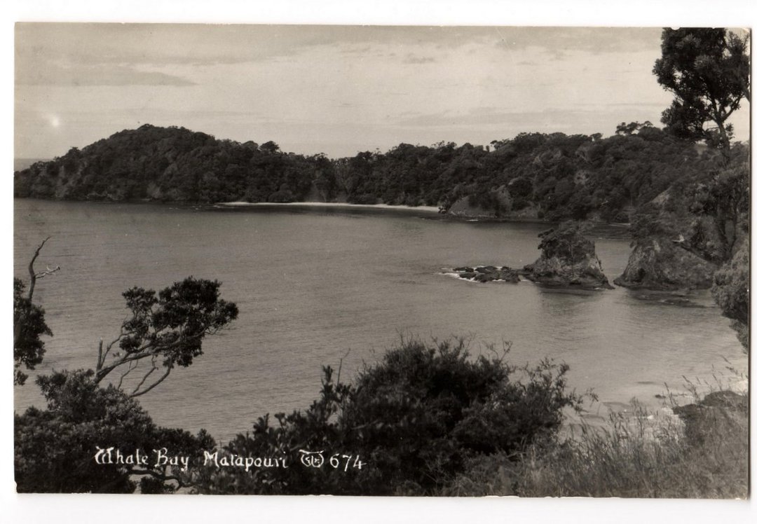 Real Photograph by Woolley of Whale Bay Matapouri. - 44855 - image 0
