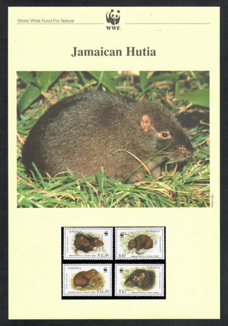 JAMAICA 1996 World Wildlife Fund. Jamaican Huita. Set of 4 in mint never hinged and on first day covers with 6 pages of official image 0