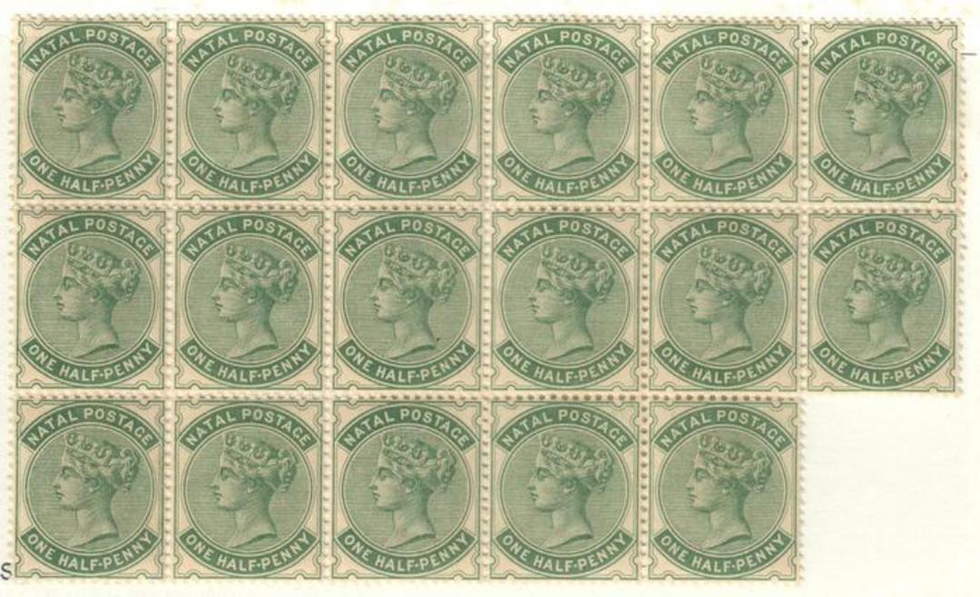 NATAL 1882 Victoria 1st Definitive ½d Dull Green. Block of 17. - 20784 - UHM image 0