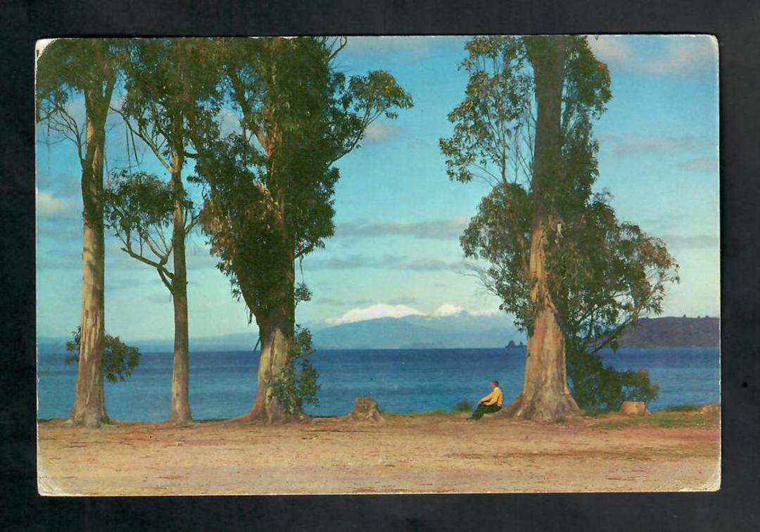 Modern Coloured Postcard by Gladys Goodall of the mountains from Taupo. - 444554 - Postcard image 0