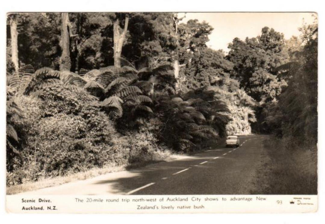 Real Photograph by Dawson of the Scenic Drive Auckland. - 45543 - Postcard image 0