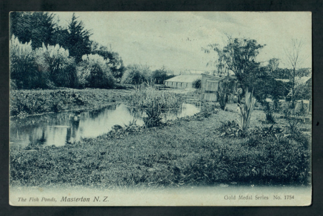 Postcard of the Fish Ponds Masterton. - 247860 - Postcard image 0