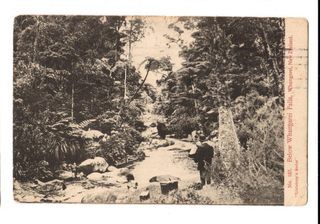 Postcard of the Bush below Whangarei Falls. - 45033 - Postcard image 0