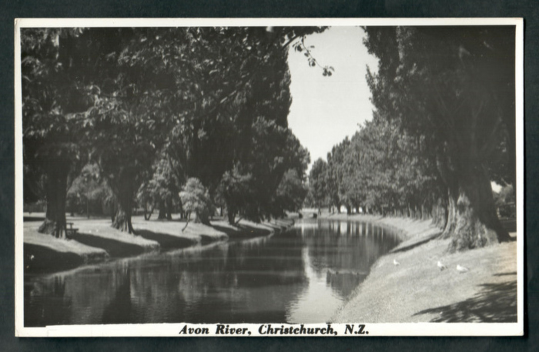 Real Photograph by N S Seaward of the Avon River Christchurch - 48497 - Postcard image 0