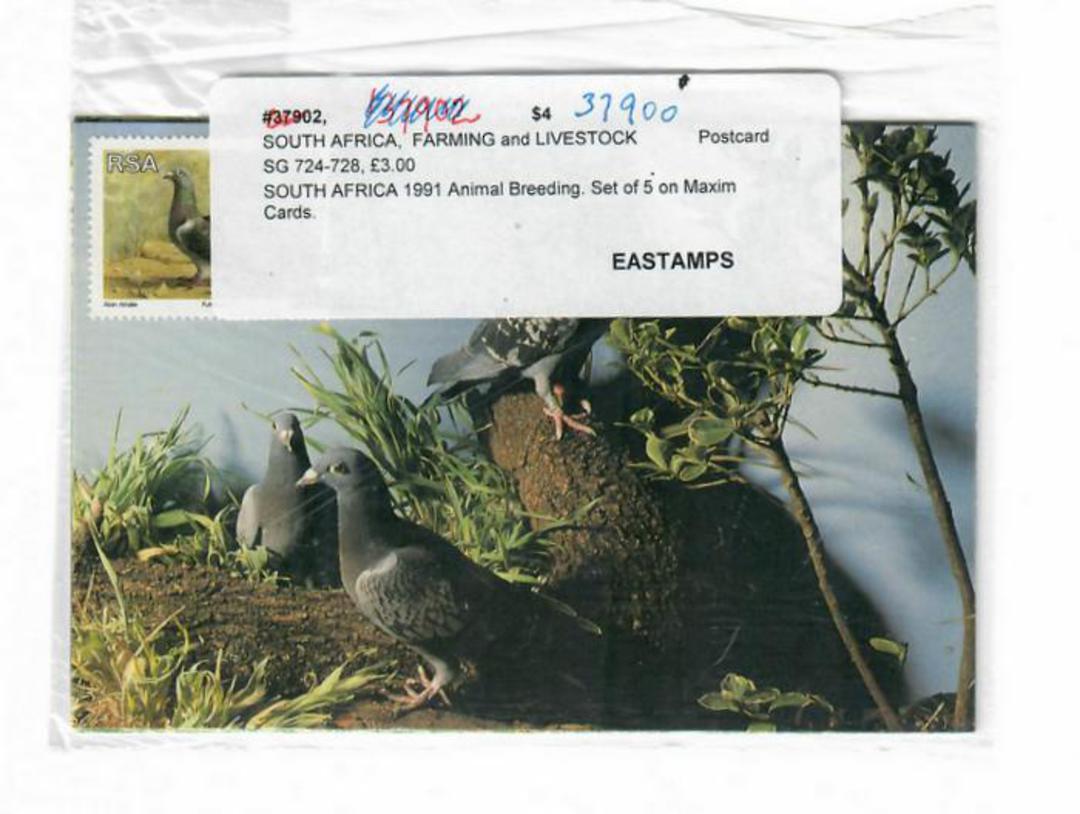SOUTH AFRICA 1991 Animal Breeding. Set of 5 on Maxim Cards. - 37900 image 0