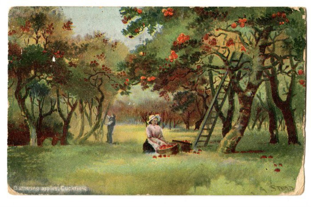 Art card. Gatheing apples. Cuckfield. Two bad corners two dull. - 43760 - Postcard image 0