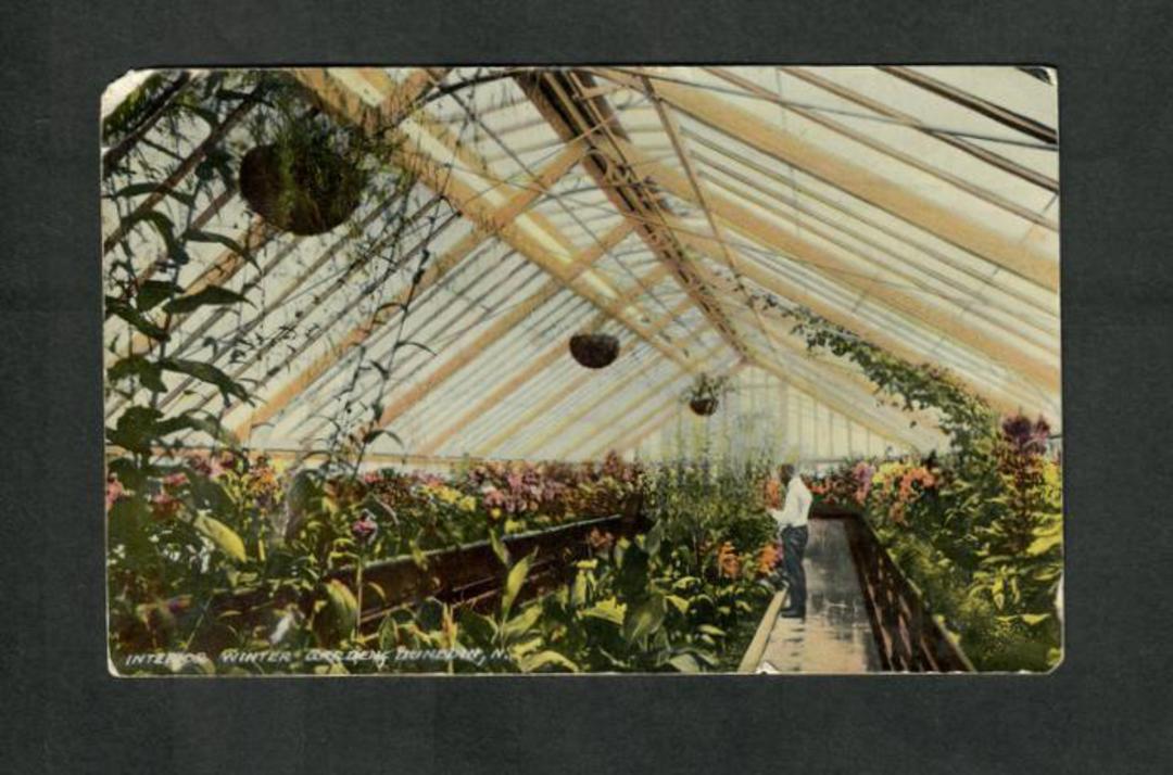 Coloured Postcard of Interior Winter Garden Dunedin. - 49288 - Postcard image 0