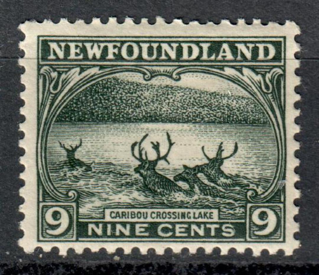 NEWFOUNDLAND 1923 Definitive 9c Sag-Green. Very lightly hinged. - 5439 - LHM image 0