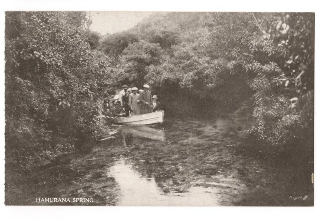 Postcard by Iles of Hamurana Springs. - 45906 - Postcard image 0