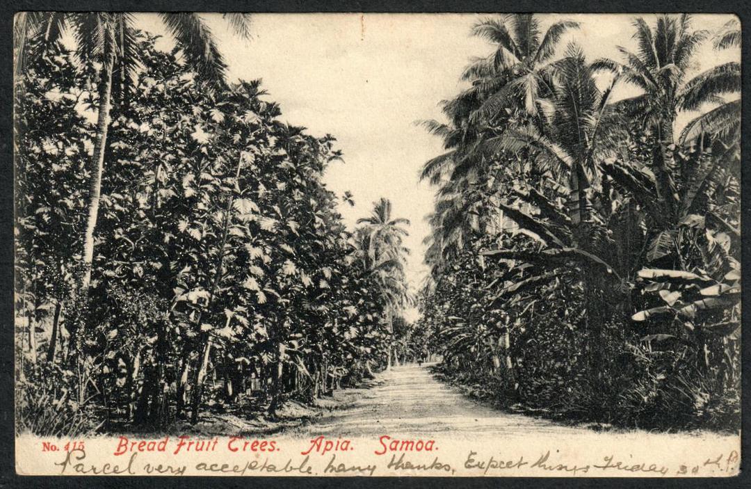SAMOA Postcard of Bread Fruit Trees Apia. NEW ZEALAND Postmark Greymouth BRUNNERTON. - 243879 - Postcard image 0