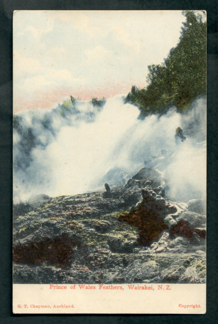 Coloured postcard of Prince of Wales Feathers Geyser Wairakei. - 46722 - Postcard image 0