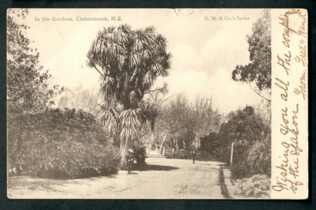 Early Undivided Postcard. In the Gardens Christchurch - 48307 - Postcard image 0