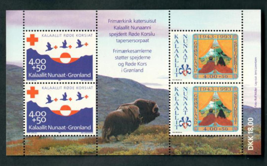 GREENLAND 1993 Anniversary of the Red Cross and Boy Scouts. Miniature sheet. - 52464 - UHM image 0