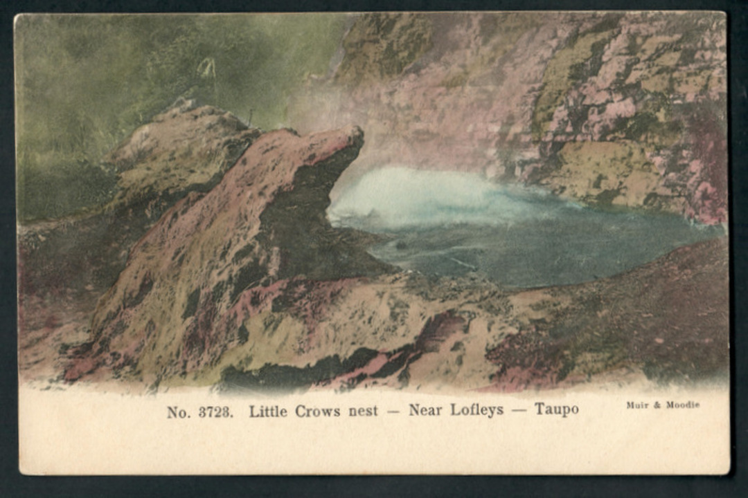 Early Undivided Coloured Postcard by Muir & Moodie of Little Crow' Nest near Lofleys Taupo. - 46683 - Postmark image 0