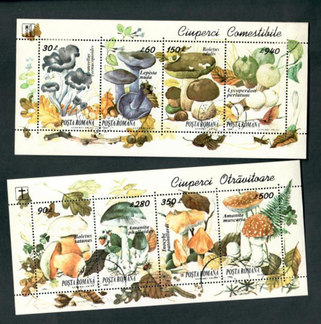 ROUMANIA 1994 Edible and Poisonous Fungi. 2 miniature sheets. - 52469 - FU image 0