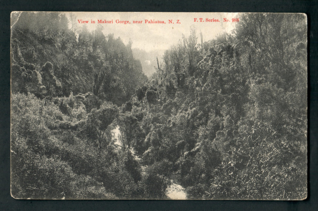 Postcard of View in Makuri Gorge near Pahiatua. - 47866 - Postcard image 0