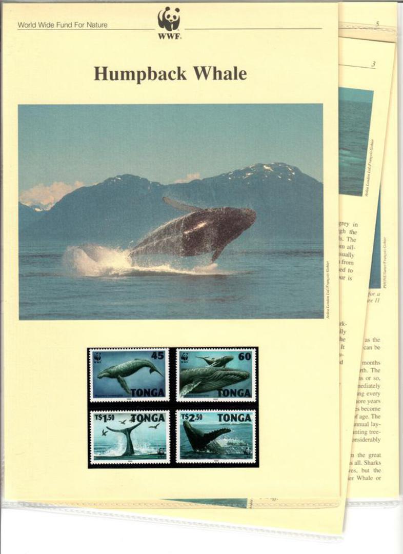 TONGA 1996 World Wildlife Fund Humpback Whale. Set of 4 in mint never hinged and on first day covers with 6 pages of official te image 0