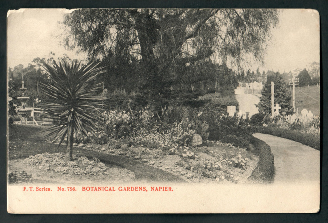 Postcard of the Botannical Gardens Napier. - 47901 - Postcard image 0