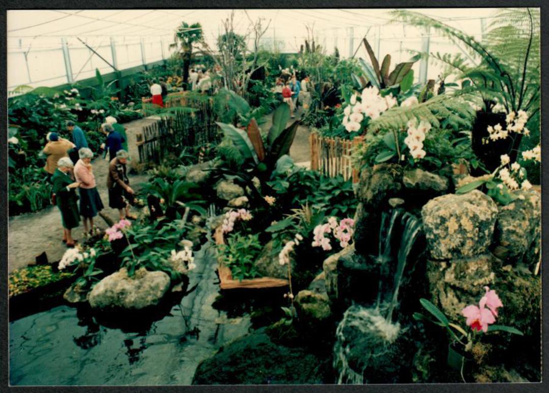 FLEUR INTERNATIONAL Orchid Gardens Rotorua. Two photographs Seem to be sold on site. - 42091 - Postcard image 0