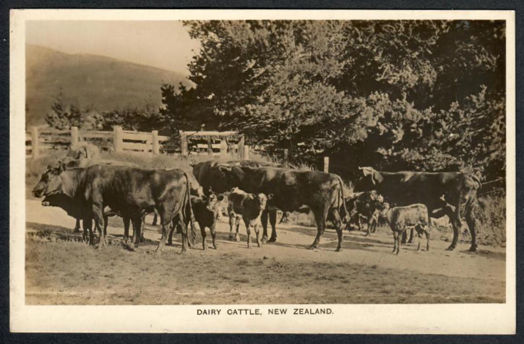 DAIRY CATTLE New Zealand Published by NZ High Commissioner London. - 41442 - Postcard image 0