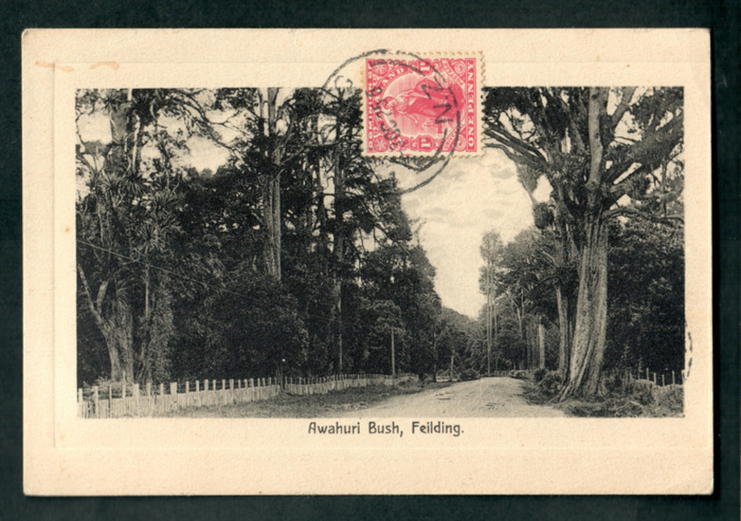 Postcard of Awahuri Bush Fielding. - 47252 - Postcard image 0