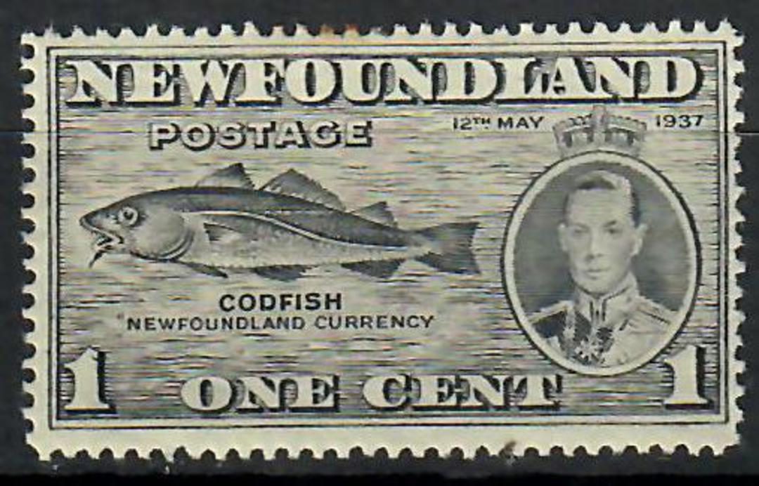 NEWFOUNDLAND 1937 1c Grey. Prominent listed Fish-hook flaw illustrated in SG. Centred slightly east. - 70536 - LHM image 0