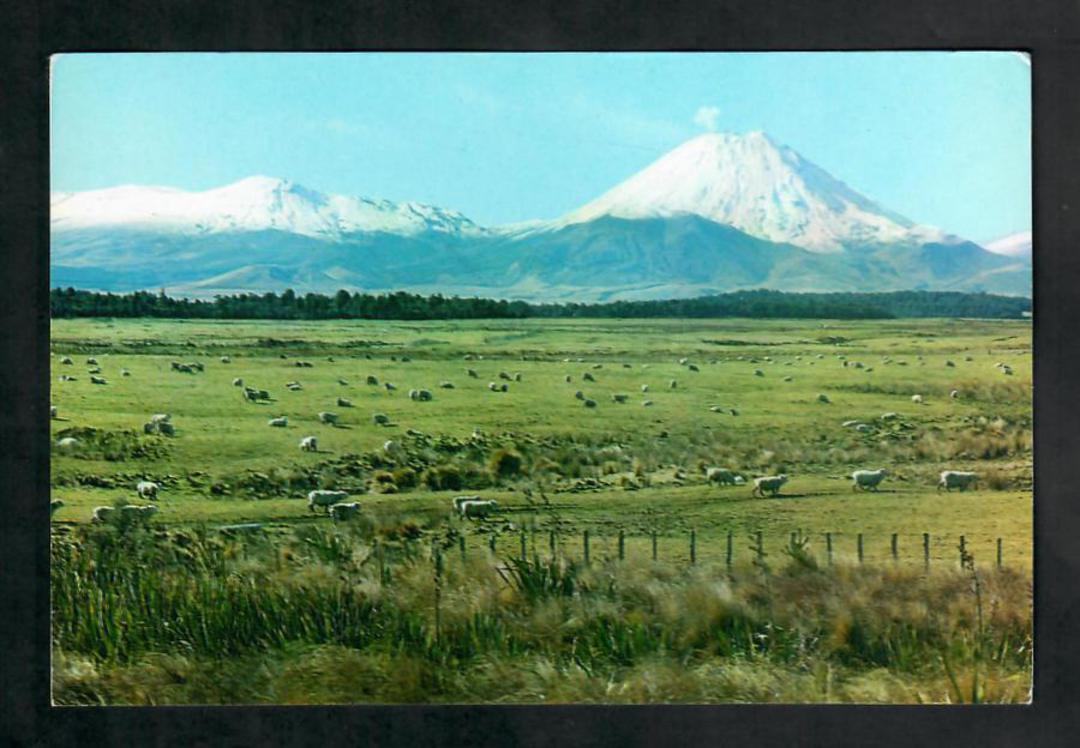 Modern Coloured Postcard by Gladys Goodall of Mt Ngauruhoe Mt Tongariro. Sheep in the foreground. - 444552 - Postcard image 0