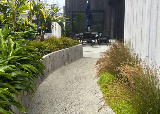 Modern Native Courtyard
