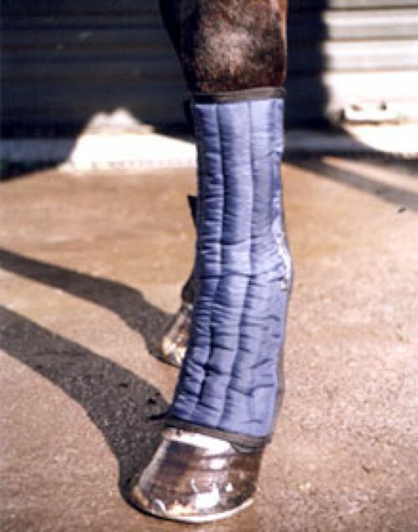 Chilla Leg Wrap - Pony image 0