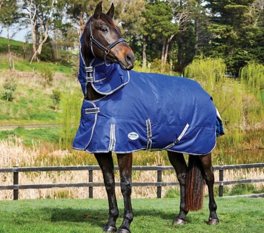 新品］Weatherbeeta Comfitec Premier Free Detach-A-Neck Blanket Medium Dark  Blue/G その他乗馬用品 - roshe.co.uk